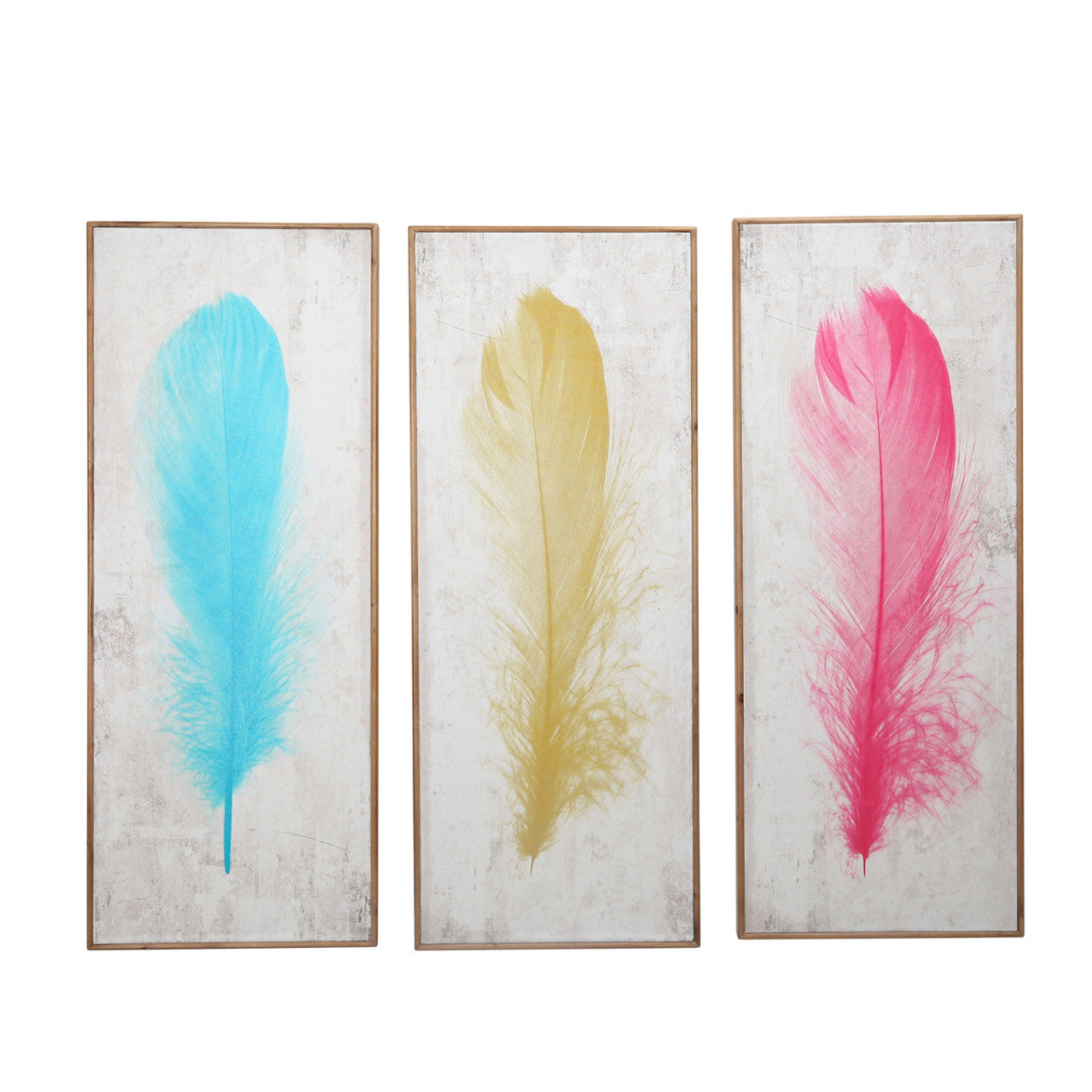 Multi Color Feather Wall Art