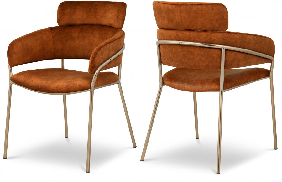 Chic Velvet Dining Chair Set of 2